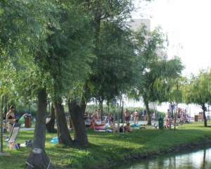 dscf77871